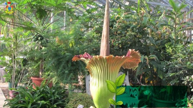 Plant Science Facts | Amazing Facts About Plants