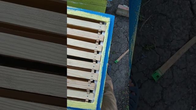 Матка ИО В51 микс. Постановка второго магазина, взяток с подсолнуха смотреть онлайн