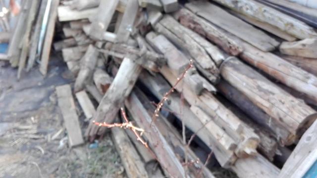 #ВлогМногоЖуков# Жуки в теплице / сарай для бройлеров. смотреть онлайн