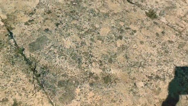 Чаша Зибольда как есть смотреть онлайн