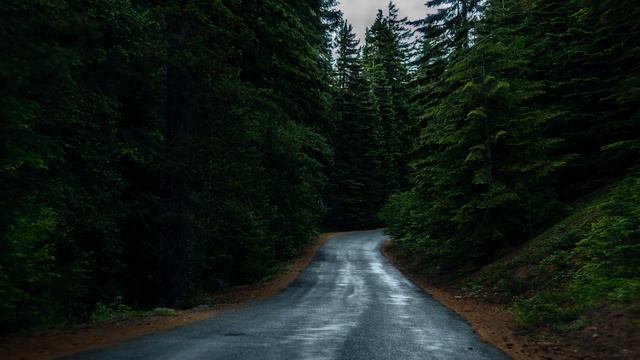 Ты не гони любовь - Елена Сальникова смотреть онлайн