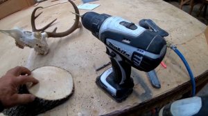 Изготовление трофейного черепа оленя (косули) своими руками от А до Я. Часть 4. Крепление черепа .