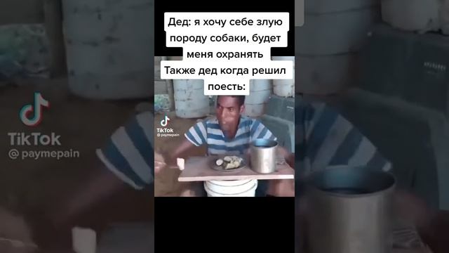 Мем из так тока смотреть онлайн