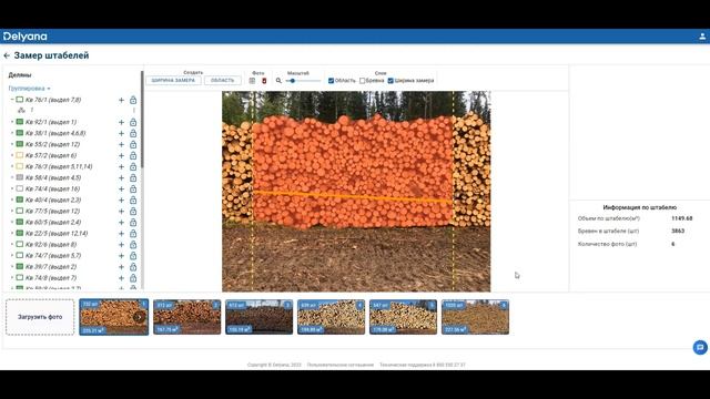 Delyana. Обновленный модуль фотозамера штабелей. смотреть онлайн