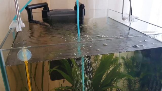 Вспышка водорослей.Затемнение аквариума.Раствор глутарового альдегида.Розетка с таймером. смотреть онлайн