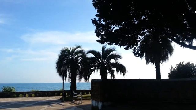 Приморский парк в Гаграх смотреть онлайн