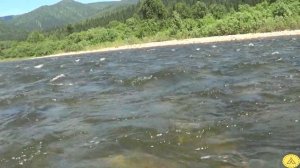 Сплав по реке Томь.