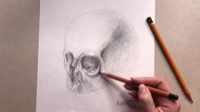 Академический рисунок. Рисуем череп карандашом. смотреть онлайн
