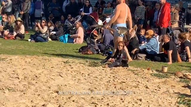 NAIDOC 2019 REDFERN OVAL Festival EORA Day  Aboriginal Traditional Eagle And Emu Dances