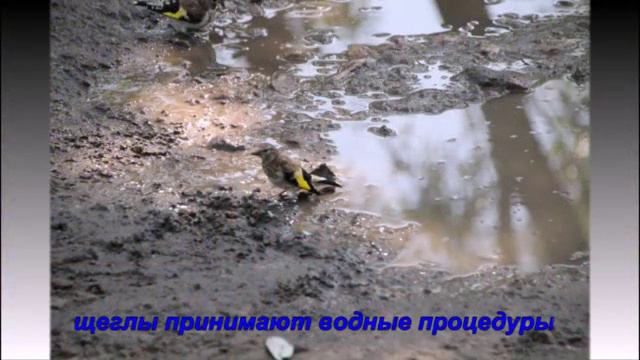 Край родной - навек любимый! смотреть онлайн