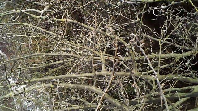 Losing Control of syma x5c-1 drone смотреть онлайн