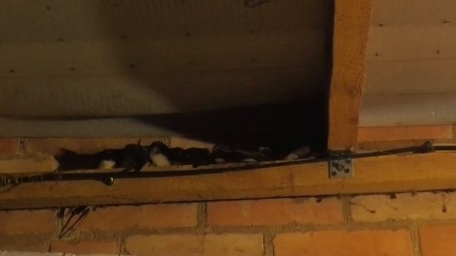 Где ночуют ласточки смотреть онлайн