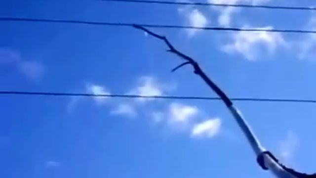 ударило током electric shock смотреть онлайн