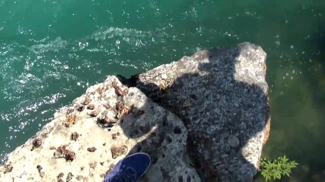 ТУРЦИЯ. Дорога в Манавгат. Едем смотреть ВОДОПАД. Путешествие по Турции на машине. смотреть онлайн