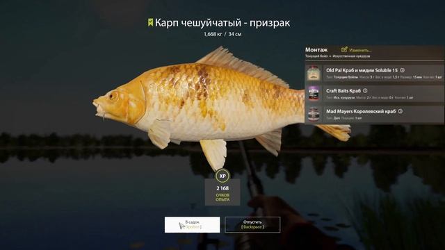 Русская рыбалка 4 (РР4) озеро Янтарное КАРП смотреть онлайн