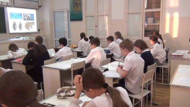 И.Н. Чубарева БОУ г. Омска "СОШ №162" смотреть онлайн