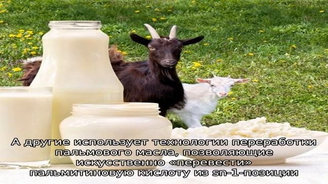 Польза детского питания на козьем молоке смотреть онлайн