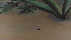 путешествия муравья