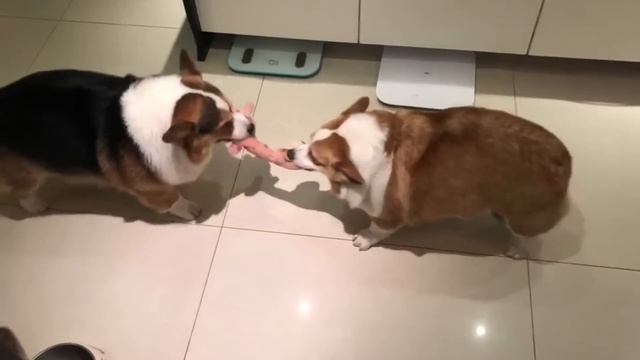 Angery Boi hours смотреть онлайн