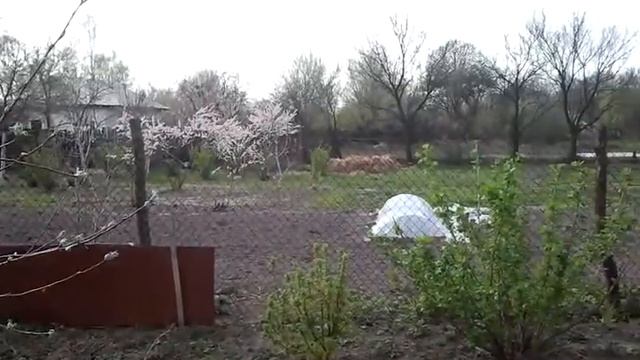 посадка картофеля. смотреть онлайн