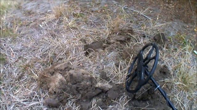 Поиск монет на забытом пруду смотреть онлайн