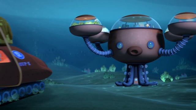 03.07 - Октонавты и морские свинки