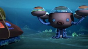 03.07 - Октонавты и морские свинки