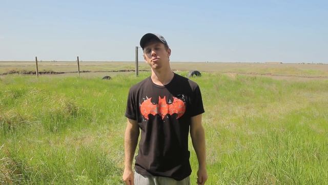 Как научиться "Внутренний Гейнер" за 4 года (Inward Front Flip Tutorial) смотреть онлайн