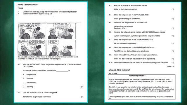 Grade 10 - Afrikaans | 22 July 2020 | Hersien en Taalwerk смотреть онлайн