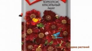 Кореопсис обыкновенный Красильный Амулет ? обзор: как сажать, семена кореопсиса Красильный Амулет