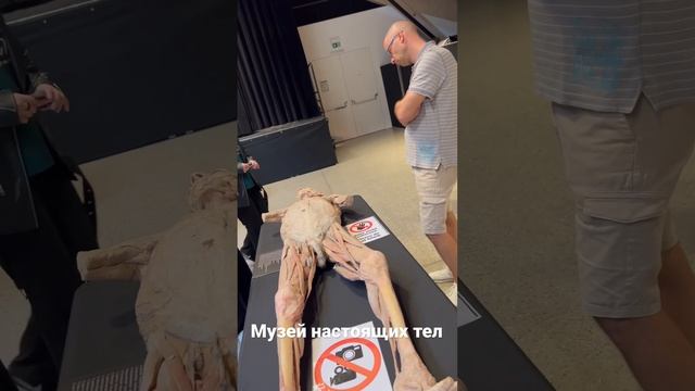 Музей настоящих тел в Германии. Все экспонаты - это люди, завещавшие свои тела музею. смотреть онлайн