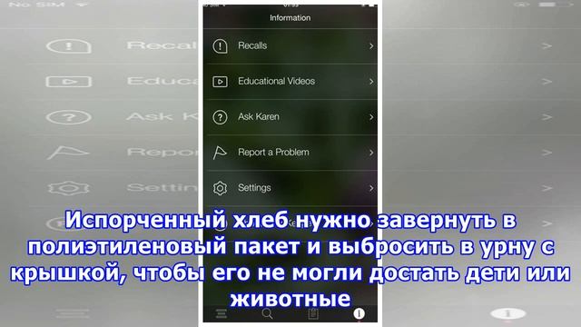 Хлеб с плесенью: выбросить или обрезать и съесть? смотреть онлайн