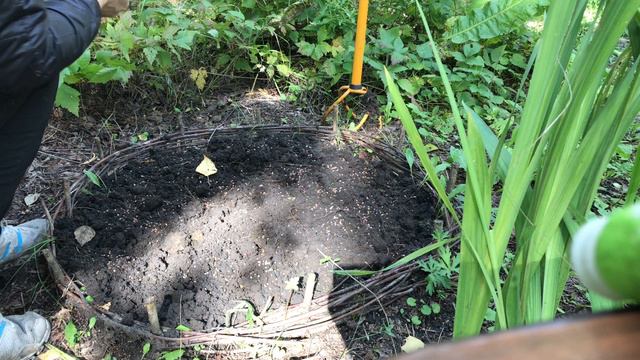 Выкапываю гладиолусы, высаживаю любисток и готовлю грядку под огурцы смотреть онлайн