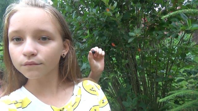 КАК МОЛОДЫЕ БЛОГЕРЫ - ДВИГАЛИ ТРЕНДЫ ЮТЬЮБА