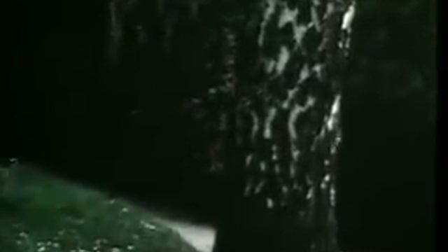 Recherchen auf dem Anthroposophenhügel Teil 1 смотреть онлайн