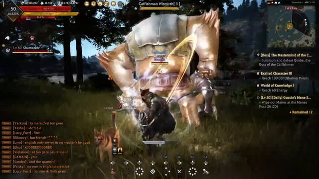 The Mastermind of the Catfishmen Qoobe quest Black Desert PS4 (#Shamackh) смотреть онлайн