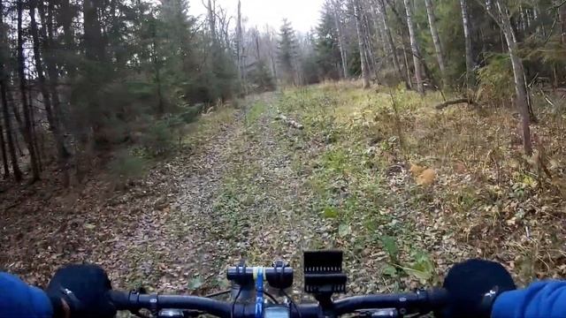 Велопоход в Смоленской области. Толкаю велик через топь. Заехал в усадьбу Самуйлово смотреть онлайн