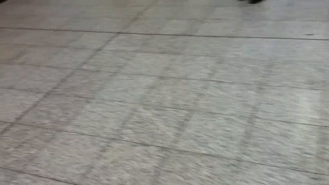 Аэропорт дети проходят регистрацию. смотреть онлайн