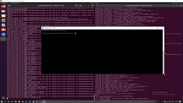 Cowrie Docker Honeypot Demo смотреть онлайн