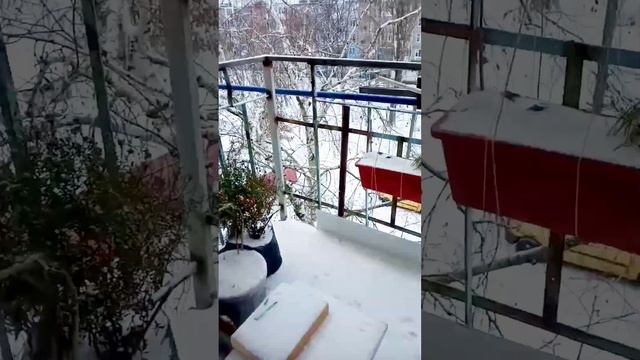 Утепляет гнездо БЕЛКА / какой ДОМИК лучше / лыко и белка смотреть онлайн