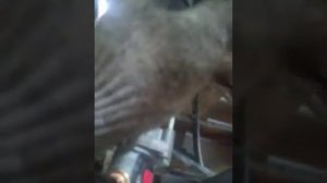 Убераем модулятор Wabco. Устанавливаем РТС и ускорительный клапана.