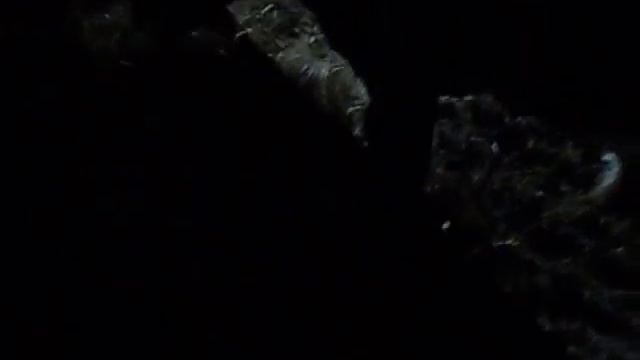 русские Быки хозяйство смотреть онлайн