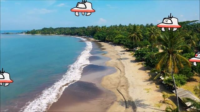 Камера дрона NASA фиксирует огромное скопление НЛО на пляже в США Флорида смотреть онлайн