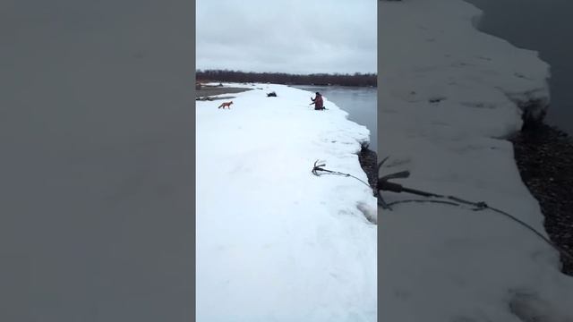 Рыбалка на реке Большая, Камчатка смотреть онлайн