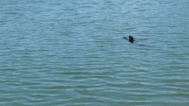 Алроса тест часть №1 смотреть онлайн