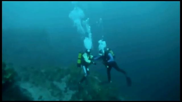 Свадьба под водой.avi смотреть онлайн