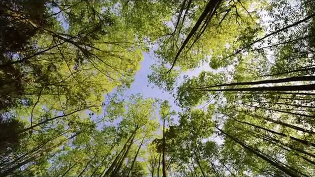 Любовь земная смотреть онлайн