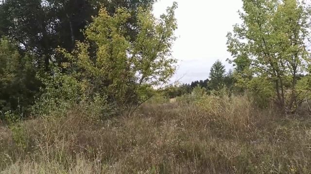 7 октября народный праздник ФЕКЛА ЗАРЕВНИЦА. ЧТО НЕЛЬЗЯ ДЕЛАТЬ... народные приметы и поверья смотреть онлайн
