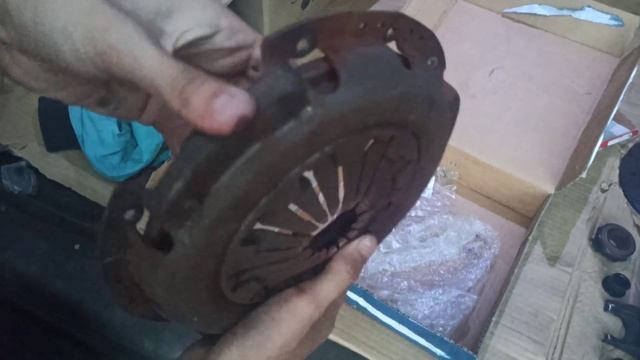 Жизнь в Цвете