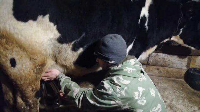 Дойка ПЕРВОТЕЛКИ АППАРАТОМ! смотреть онлайн